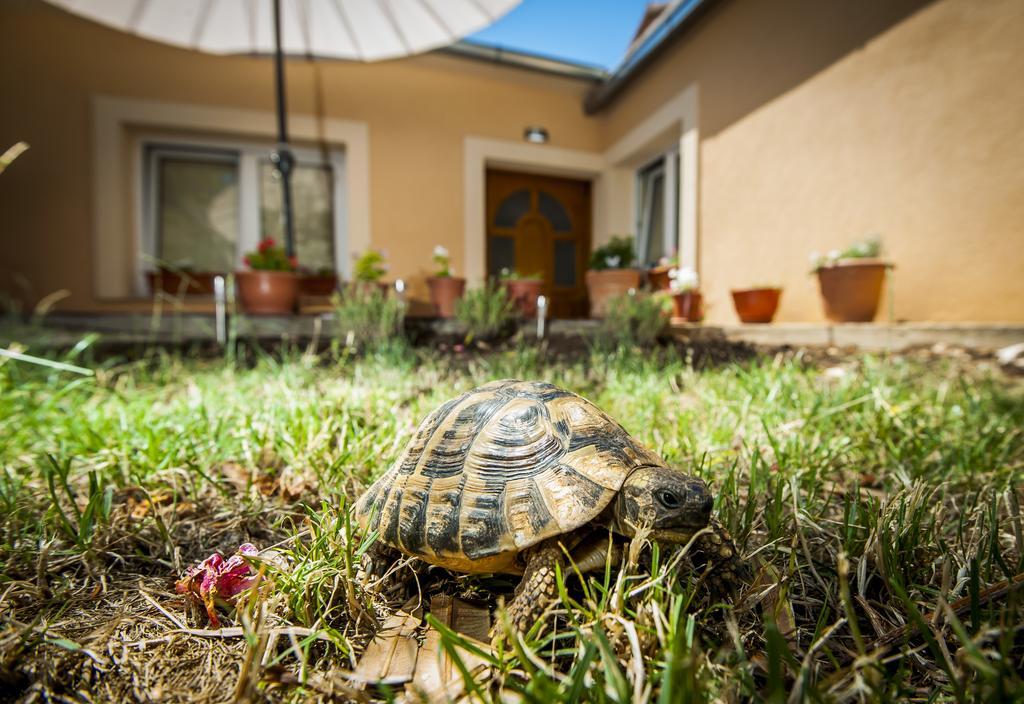 Sebenicum Apartments Šibenik Екстериор снимка